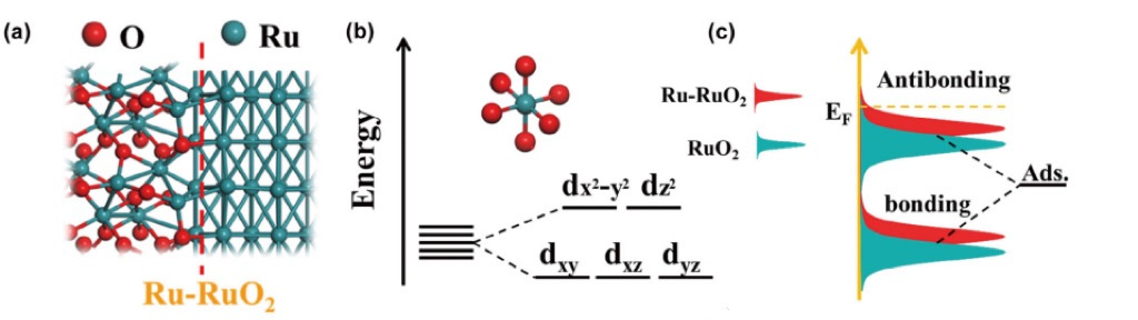 电催化中轨道杂化的精准调控：从电子结构到配位环境的多维度策略