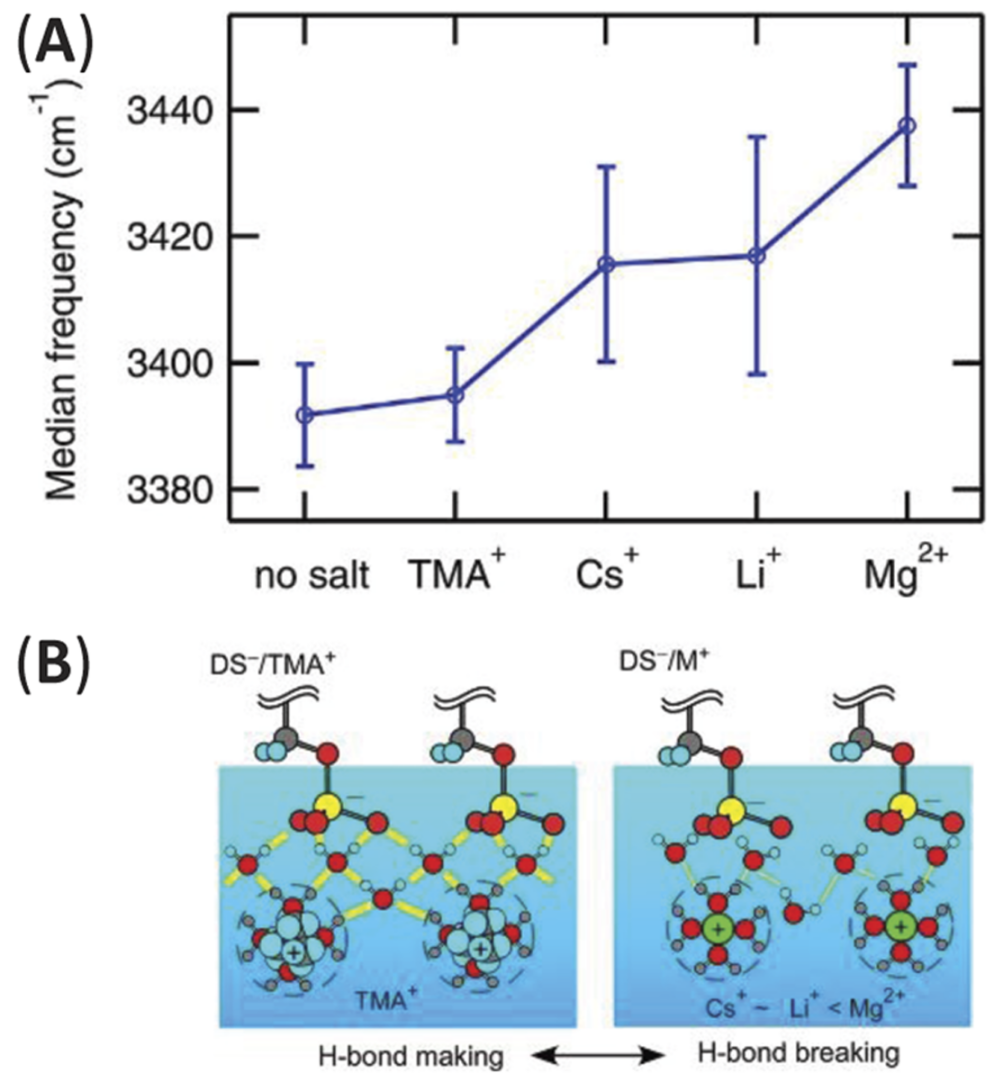 “界面水”为什么这么火？