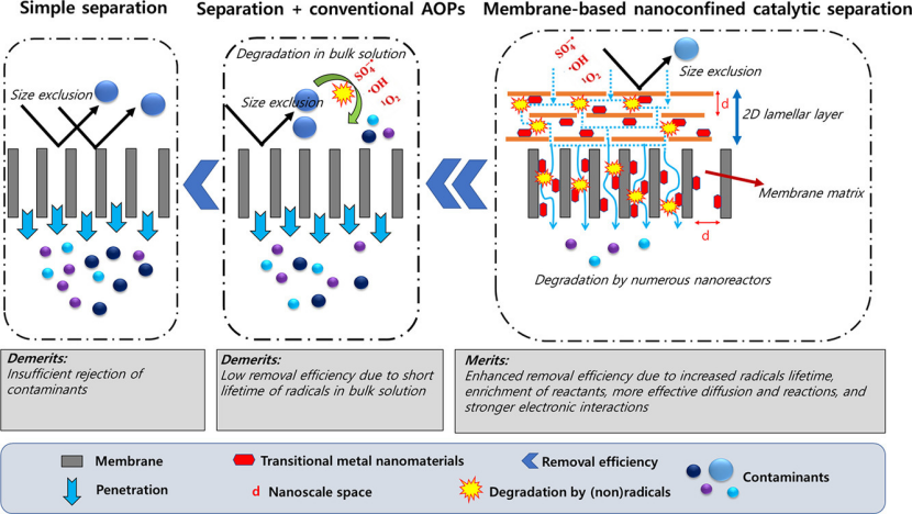 从限域效应到限域催化：催化化学与材料科学交叉领域的核心机制与技术突破