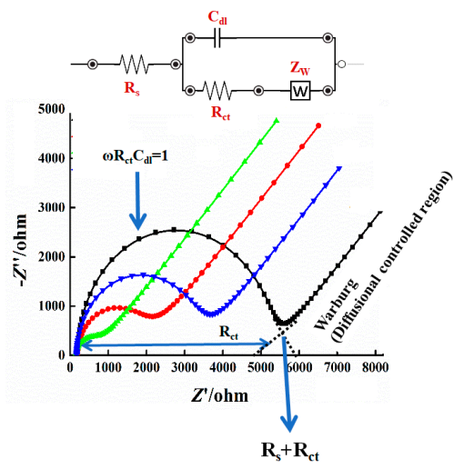 EIS如何分析活性位点？
