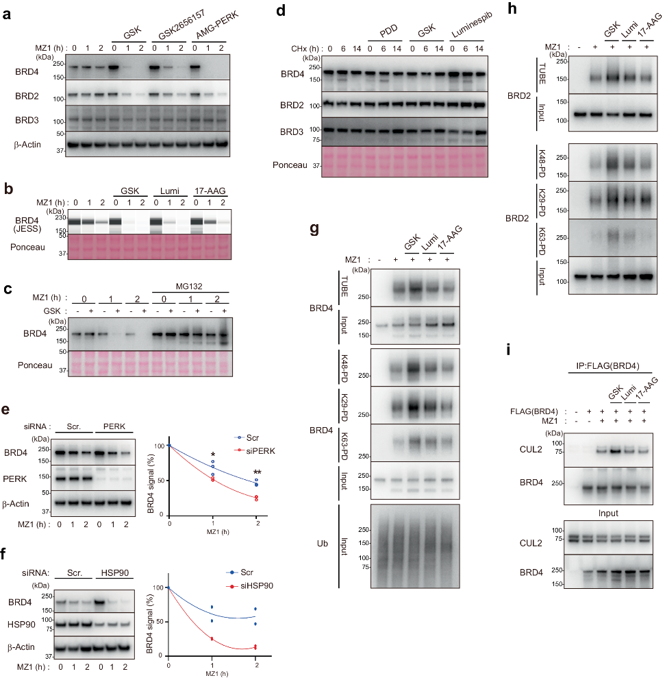 范德华力：三种类型、影响因素及其在材料科学中的作用