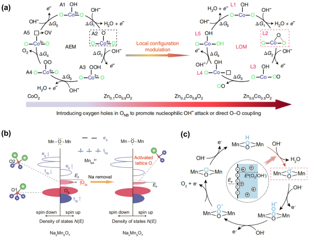 晶格氧与氧空位:多尺度表征（XRD/XPS/EPR/TGA）与电子结构调控机理