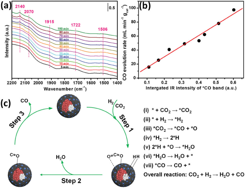 从限域效应到限域催化：催化化学与材料科学交叉领域的核心机制与技术突破