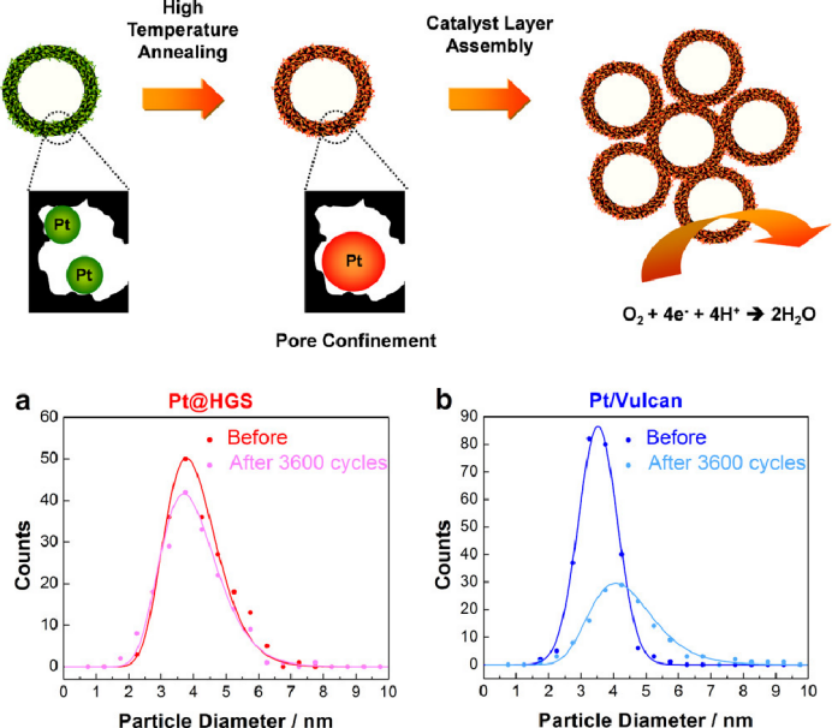 从限域效应到限域催化：催化化学与材料科学交叉领域的核心机制与技术突破