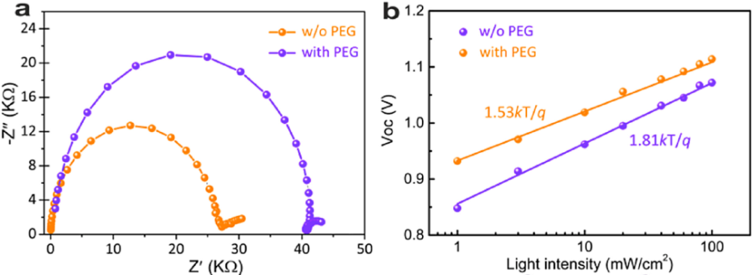 电化学阻抗谱（EIS）解析电荷转移动力学与离子扩散：从Rct到Warburg阻抗的图谱分析