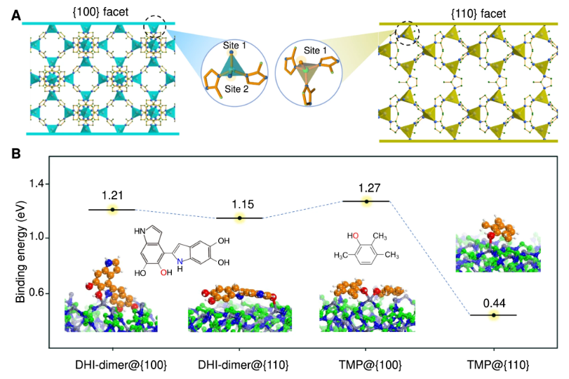 离子电导与电子电导对比：从迁移机理到材料应用的全面解析
