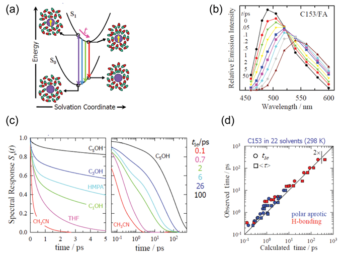 溶剂化效应：机理、相互作用类型及多光谱与散射表征方法