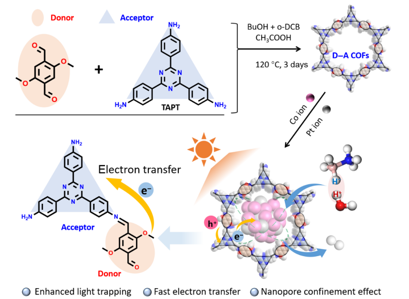 从限域效应到限域催化：催化化学与材料科学交叉领域的核心机制与技术突破