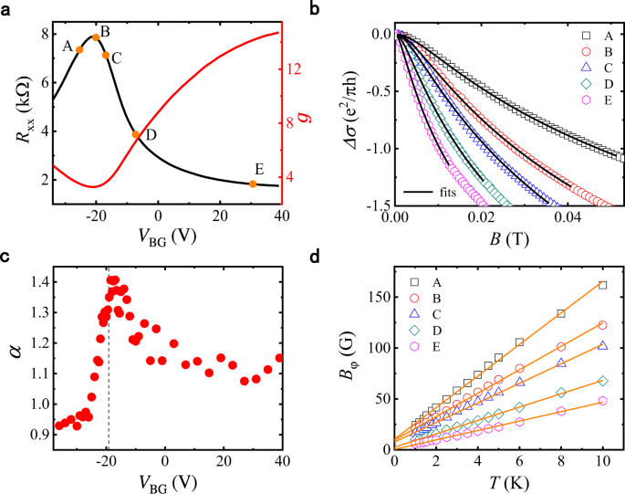 电子局域化导论：机制、理论工具与实验验证