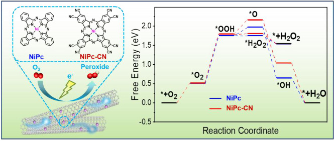 如何计算催化自由能台阶图？