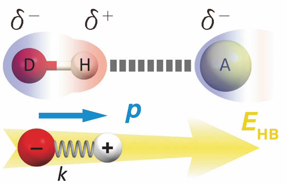 氢键学习指南：定义、分类、量化公式一站式掌握