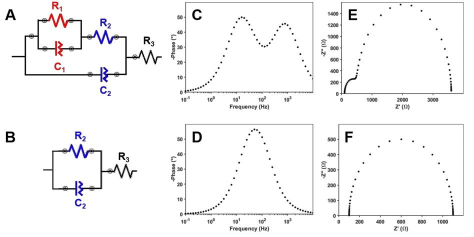 EIS如何分析活性位点？