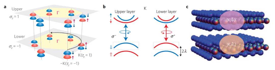 如何调控自旋态？ 原理、方法与应用全解析​