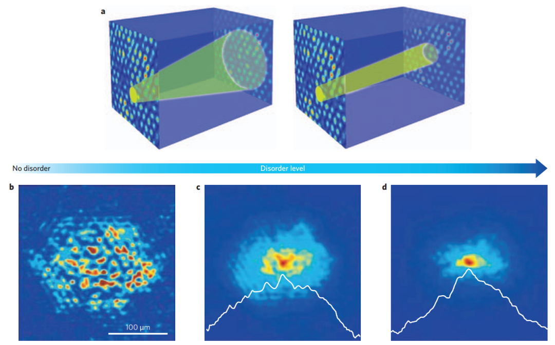 电子局域化导论：机制、理论工具与实验验证
