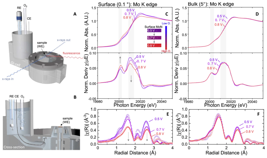 EIS如何分析活性位点？
