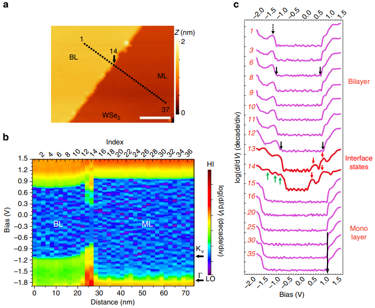 构建能带理论的知识体系：核心概念、理论基础与分析工具