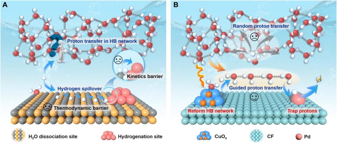 “界面水”为什么这么火？