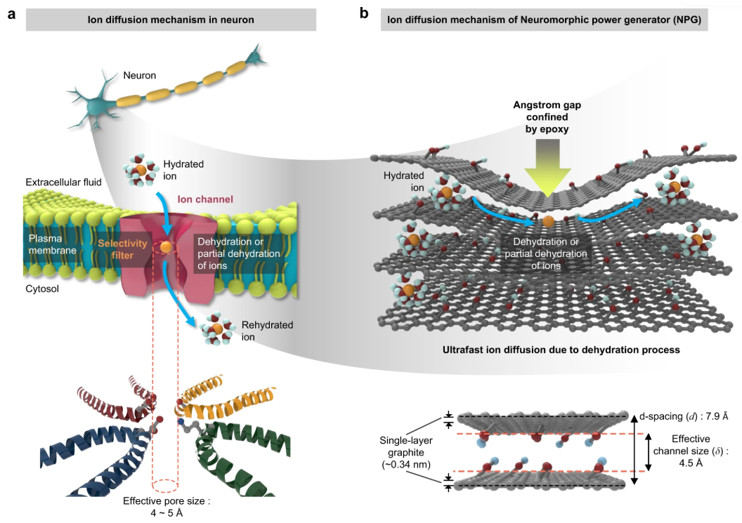 离子电导与电子电导对比：从迁移机理到材料应用的全面解析
