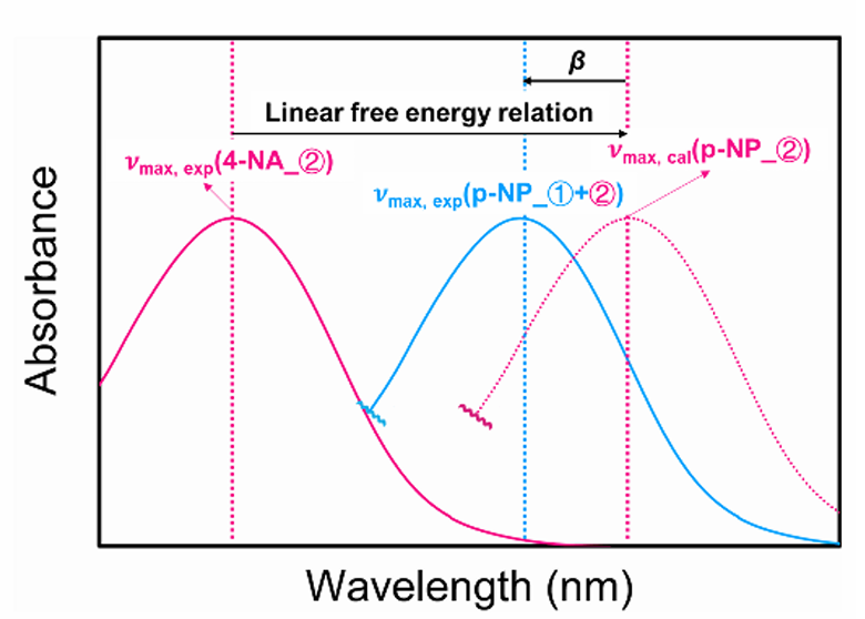 溶剂化效应：机理、相互作用类型及多光谱与散射表征方法