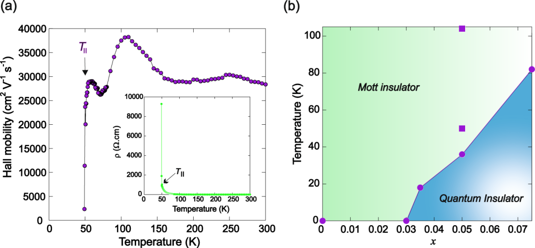 电子局域化导论：机制、理论工具与实验验证