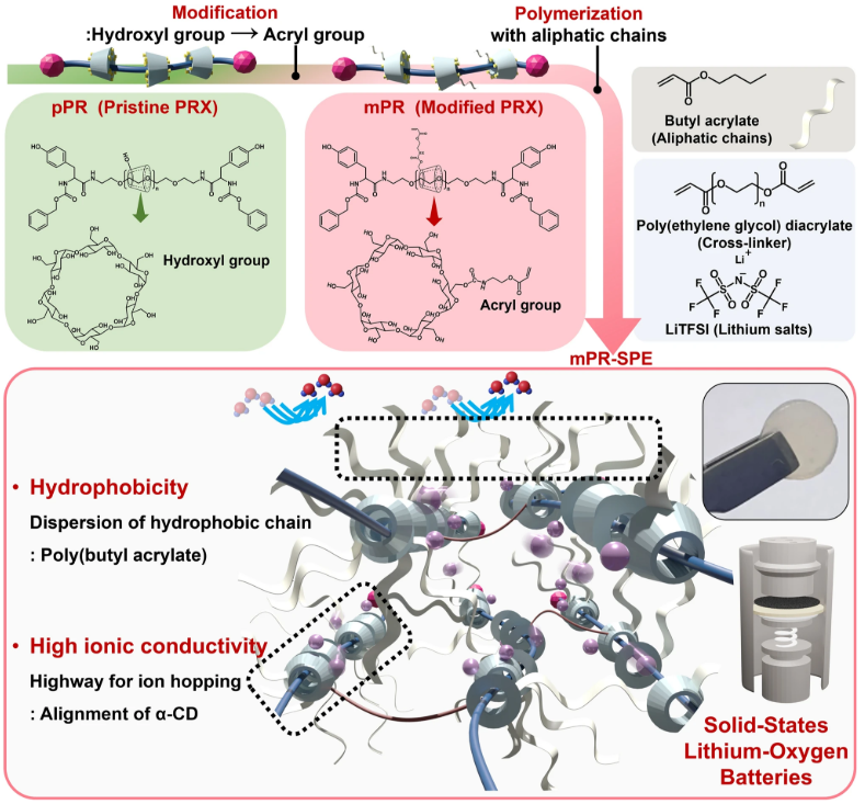 离子电导与电子电导对比：从迁移机理到材料应用的全面解析