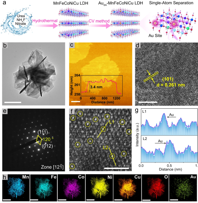 晶格氧与氧空位:多尺度表征（XRD/XPS/EPR/TGA）与电子结构调控机理