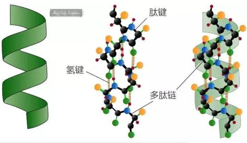 氢键学习指南：定义、分类、量化公式一站式掌握