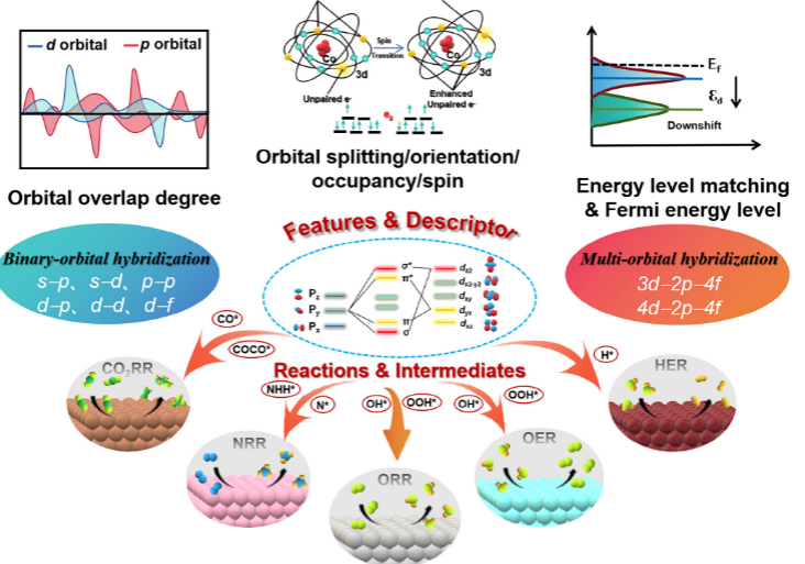电催化中轨道杂化的精准调控：从电子结构到配位环境的多维度策略