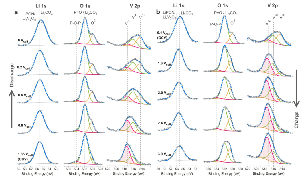 电极界面的结构、过程与表征：从亥姆霍兹层到原位XPS/STM解析