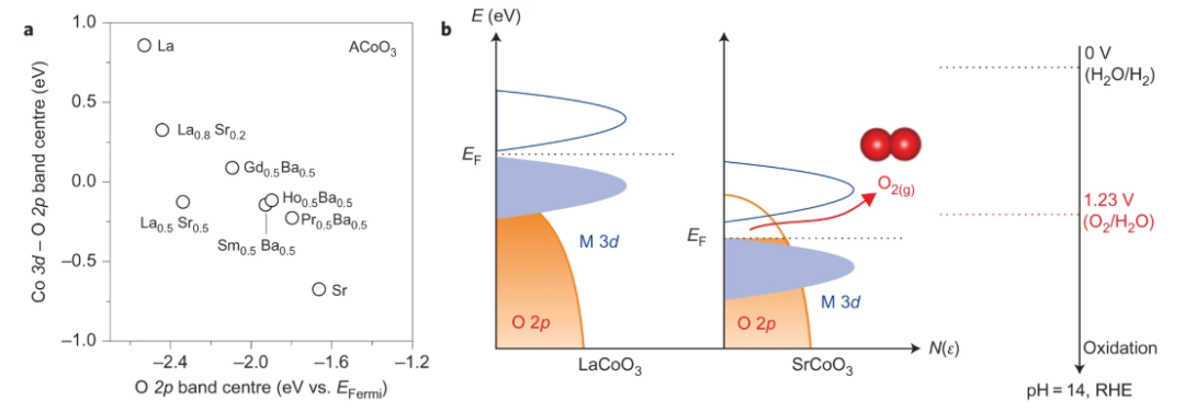 晶格氧与氧空位:多尺度表征（XRD/XPS/EPR/TGA）与电子结构调控机理