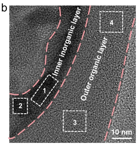 电极界面的结构、过程与表征：从亥姆霍兹层到原位XPS/STM解析