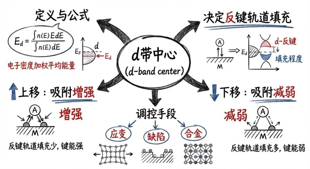 D带中心理论全解析：hammer Nørskov模型在电催化中的原理、调控与应用 华算科技 
